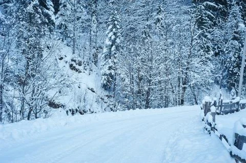 Winter road after the snowfall 스톡 사진