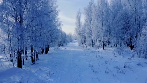 Winter road and forest with snow and frost on the trees, frozen way in the snow Stock Footage 148169255