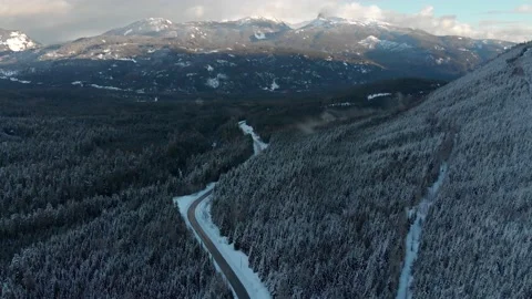 Winter road and forest with snow covered trees beautiful winter landscape. 4K Stock-Footage 149537575