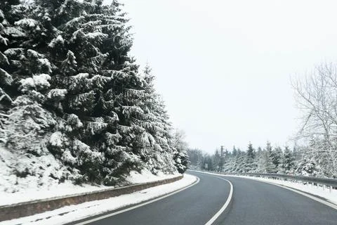 Winter road and snow with landscape of trees with frost Stock Photos