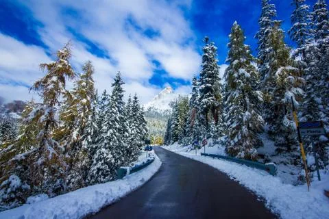 Winter road and trees with snow and alps landscape, Dolomity, Italy Stock Photos