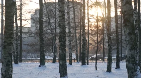 Winter Road on a Background of Trees 스톡 동영상 58937958