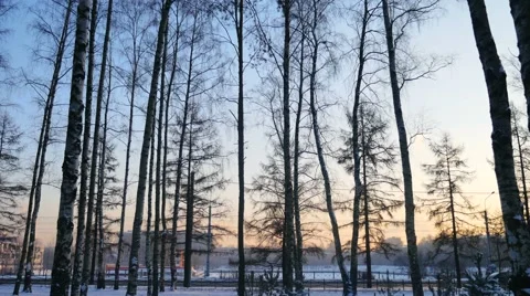 Winter Road on a Background of Trees Stock Footage 58938192