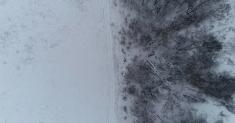 Winter road between forest and field Stock Footage 147692204