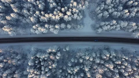Winter road between snow covered forest Stock Footage 223765358