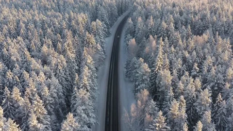 Winter road between snow covered forest Stock Footage 223766402