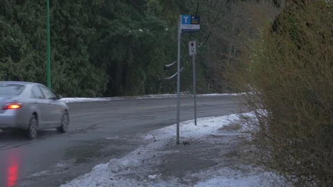 Winter road close to forest. Bus stop. Not graded. Stock-Footage 103058499