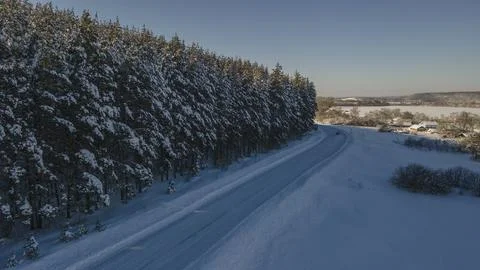 Winter road edge of the pine forest Stockfoto's