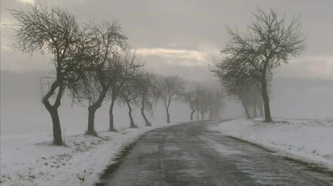 Winter road Video stock 605543