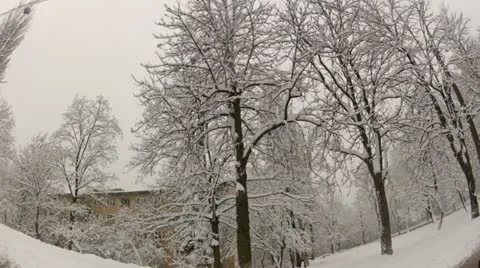 Winter road Stock Footage 12732060