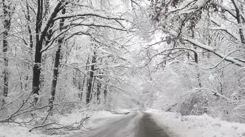 Winter road Stock Footage 22459040