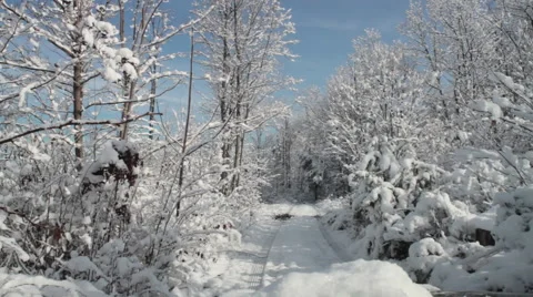 Winter Road Video stock 44562538