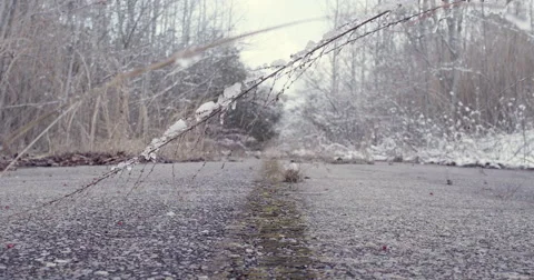 Winter Road Stock-Footage 45327303