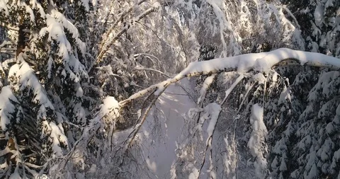 Winter road Stock Footage 92524827