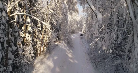 Winter road Stock Footage 92524912