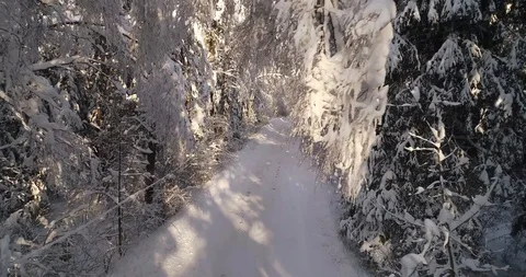 Winter road Stock Footage 92524917