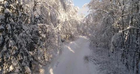 Winter road Stock Footage 92525002