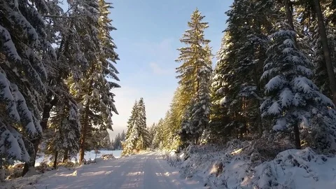 Winter road Stock Footage 105868548