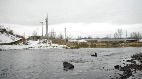 Winter road Stock Footage 122910923