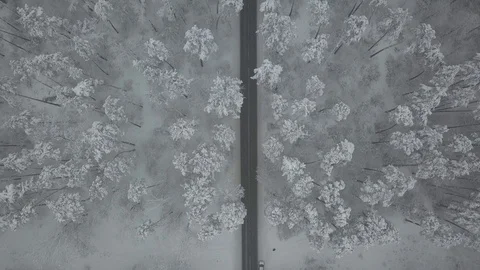 Winter road Video stock 127557980