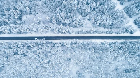 Winter Road in The Forest, Car Driving, Vertical Aerial View Video stock 86324129