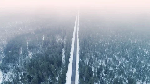 Winter Road in the Forest Covered with Snow, Aerial View, Backwards Motion Video stock 85632864