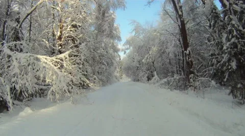Winter road in the forest 库存影片 1043590