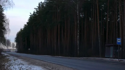 Winter road by the forest Stock Footage 123593522