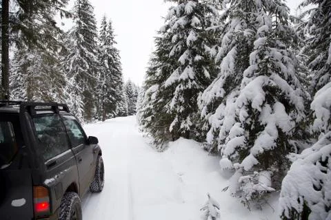 Winter off road in forest Stock Photos