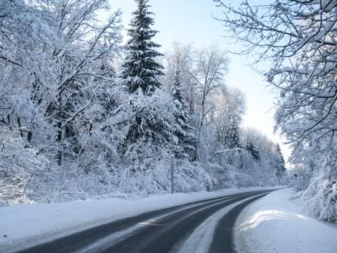 Winter road in a forest Stock Photos