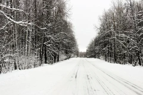 Winter road in the forest Stock Photos