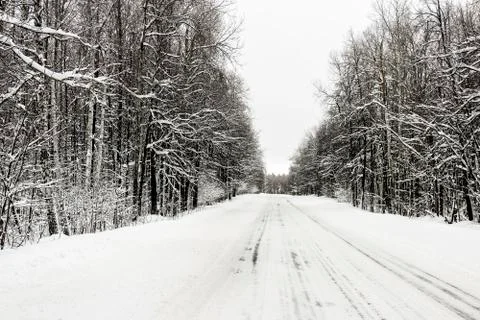 Winter road in the forest Stock Photos