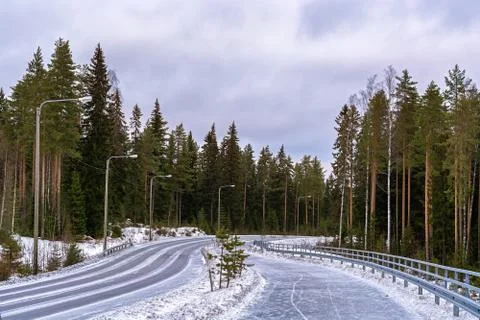 Winter road in the forest. Stock Photos