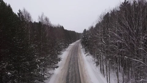 Winter road in forest in Russia Stock Footage 101661324