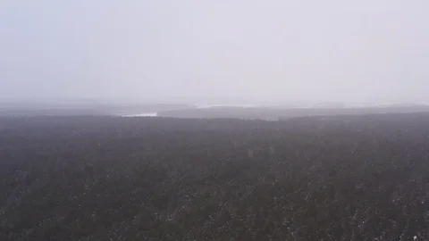 Winter road in forest in Russia Stock Footage 101661774