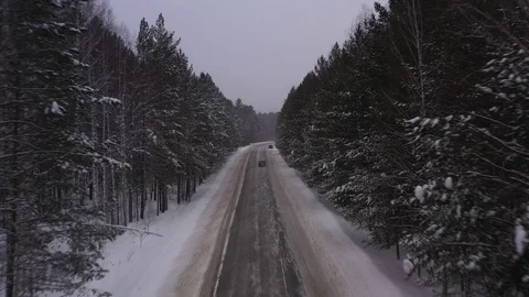 Winter road in forest in Russia Video stock 101661953