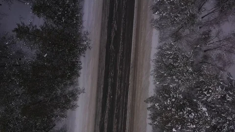 Winter road in forest in Russia Stock Footage 101662220