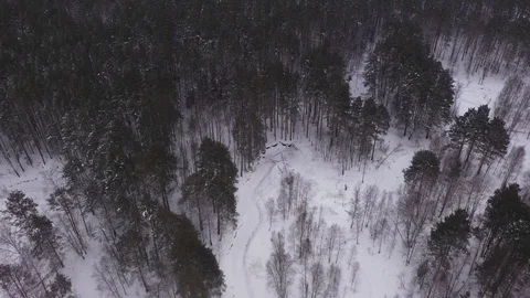 Winter road in forest in Russia Video stock 101662276