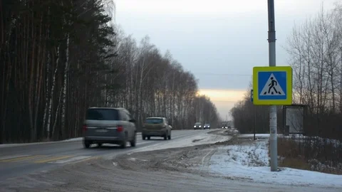 Winter road by the forest at sunset, pedestrian crossing Stock Footage 123594715