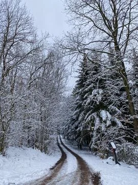 Winter road in the forest with trees covered with snow in the background Stock Photos