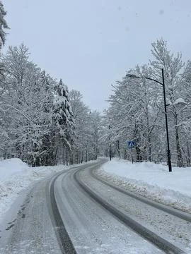 Winter road lined with snow covered trees Stock Photos