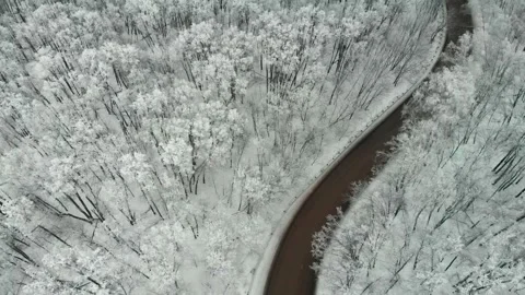 Winter road in the mountain forest Stock Footage 300278211