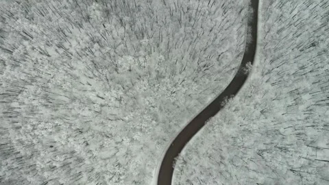 Winter road in the mountain forest Stock Footage 300278224