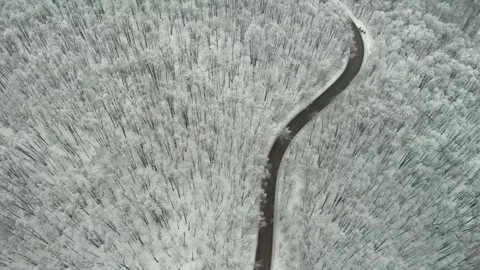 Winter road in the mountain forest Stock Footage 300278229