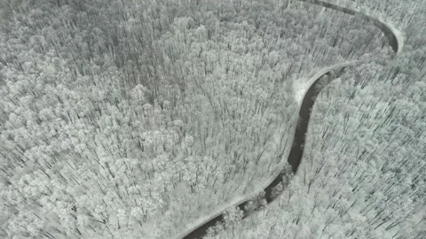 Winter road in the mountain forest Stock Footage 300278235