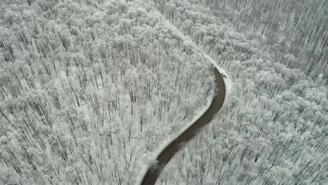 Winter road in the mountain forest Stock Footage 300278255