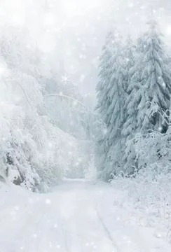 Winter road in the mountains Stock Illustration