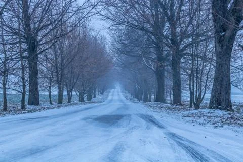 Winter road path fully covered by fresh snow 스톡 사진