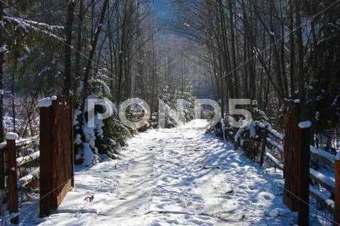 Winter Road Stock Photos