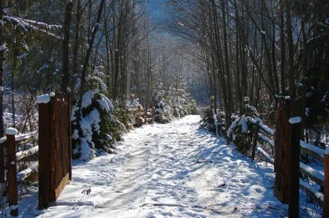 Winter Road Stock Photos